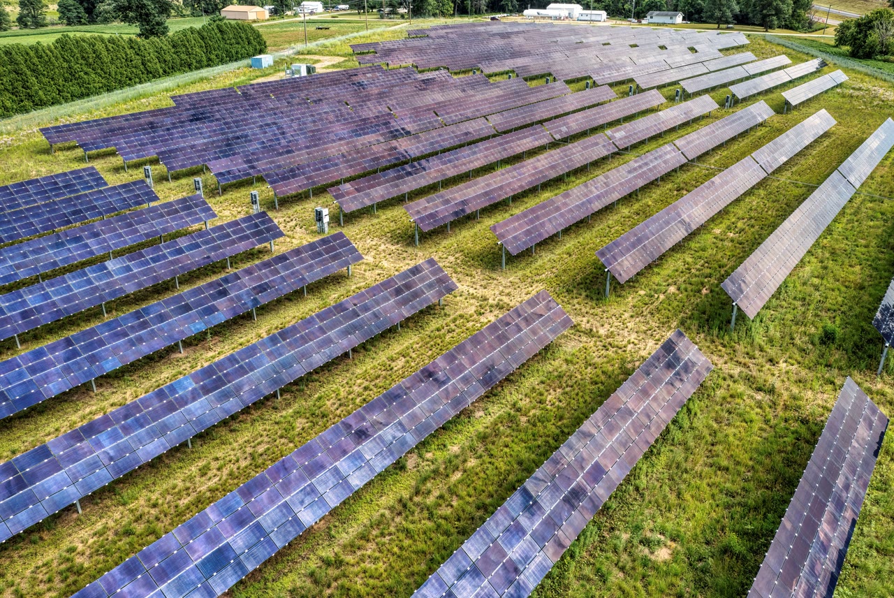 An array of solar panels in a field